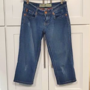 Seven 7 cropped denim 29